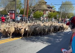 Redwood Empire Food Bank