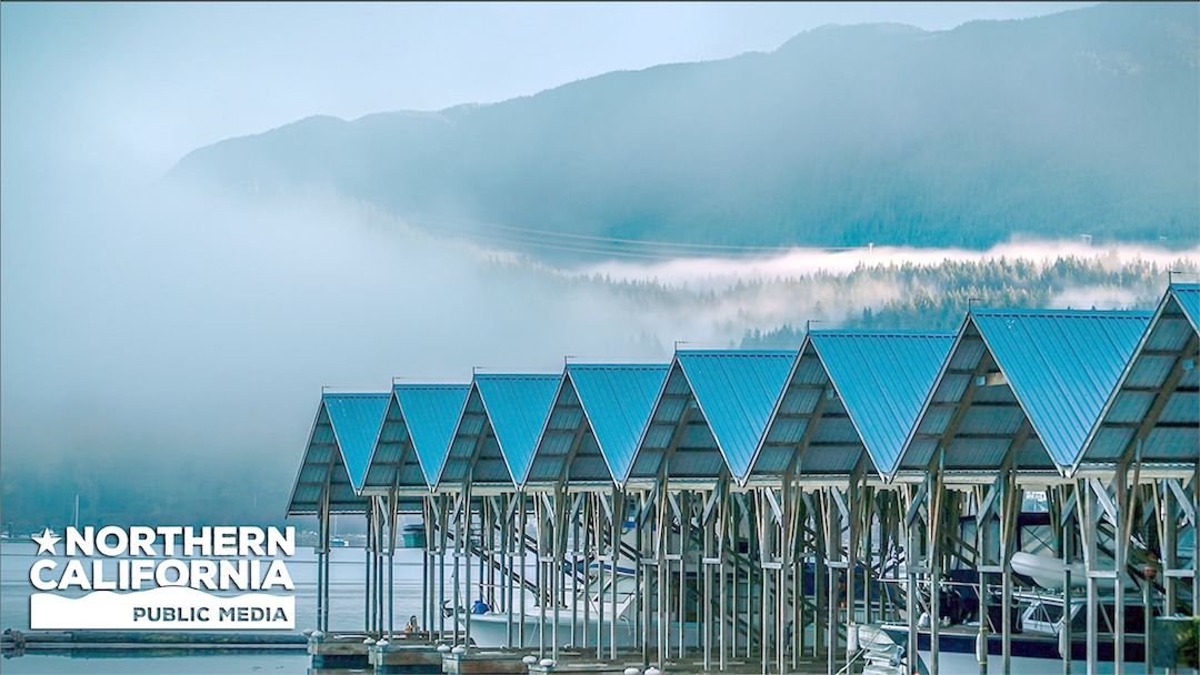 Bay Area Bountiful: Sustainable Communities