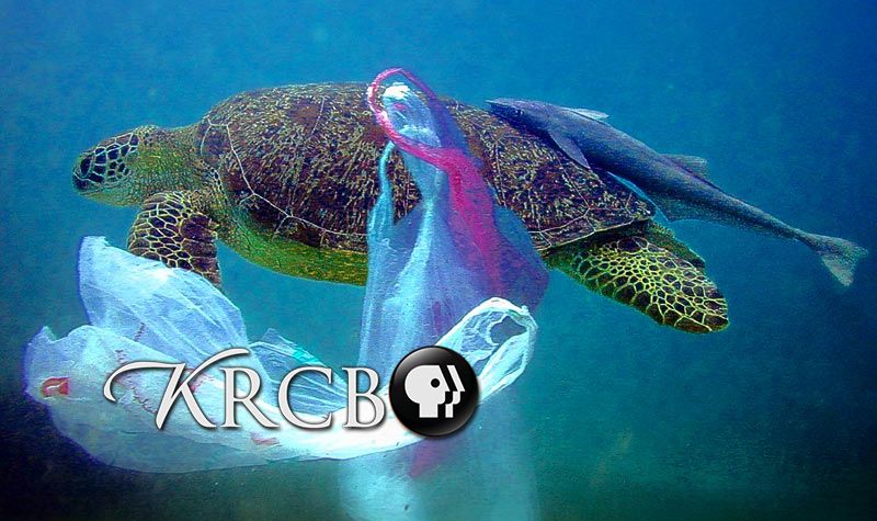 North Bay Bountiful: Waste & Recycling