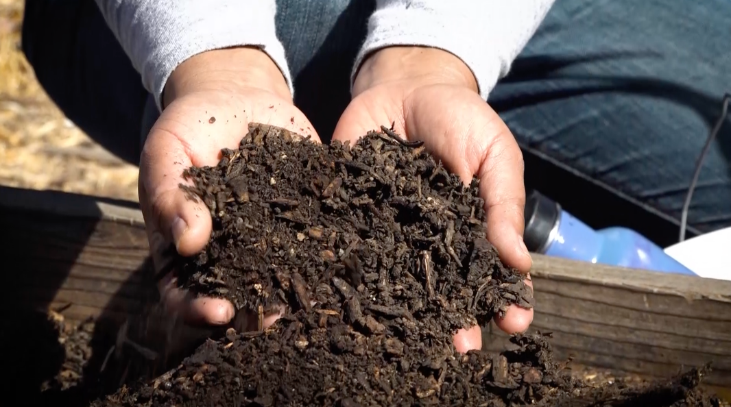 The Soil Food Web Short Story