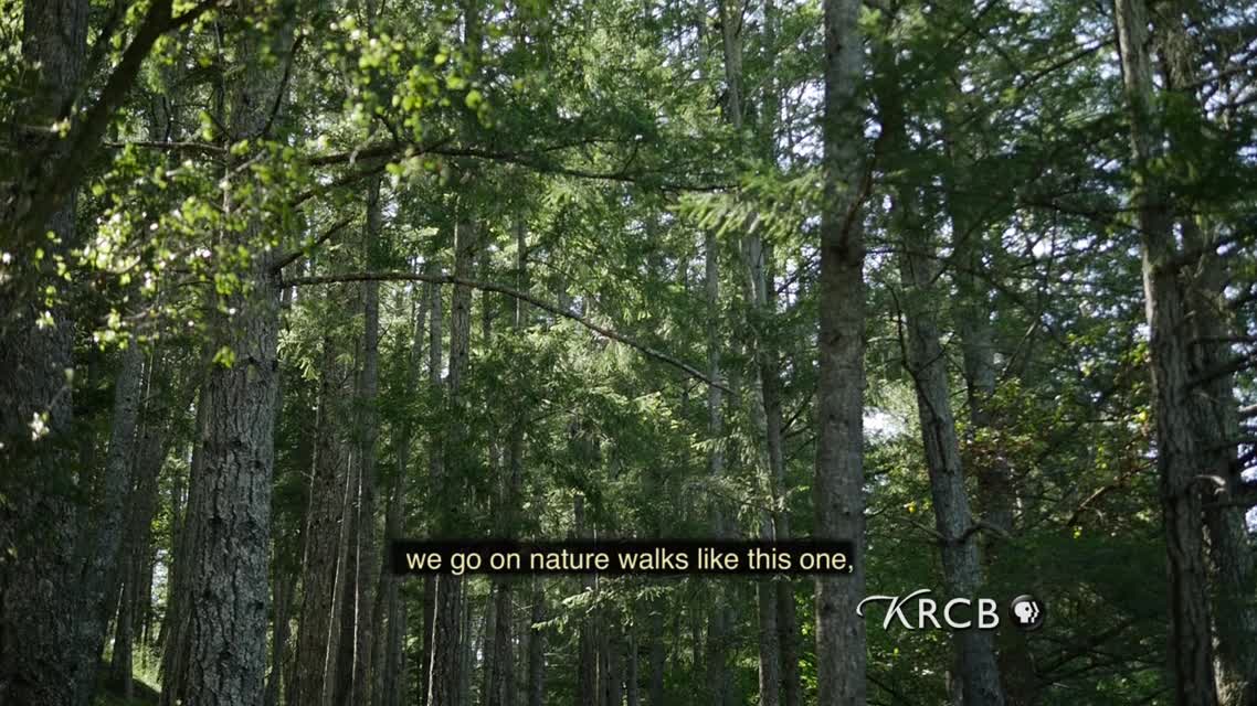 Vamos Afuera - Family Outdoor Activity