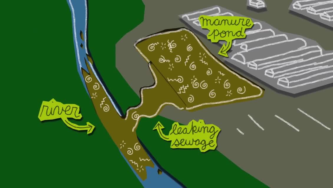 Lexicon of Sustainability - Water