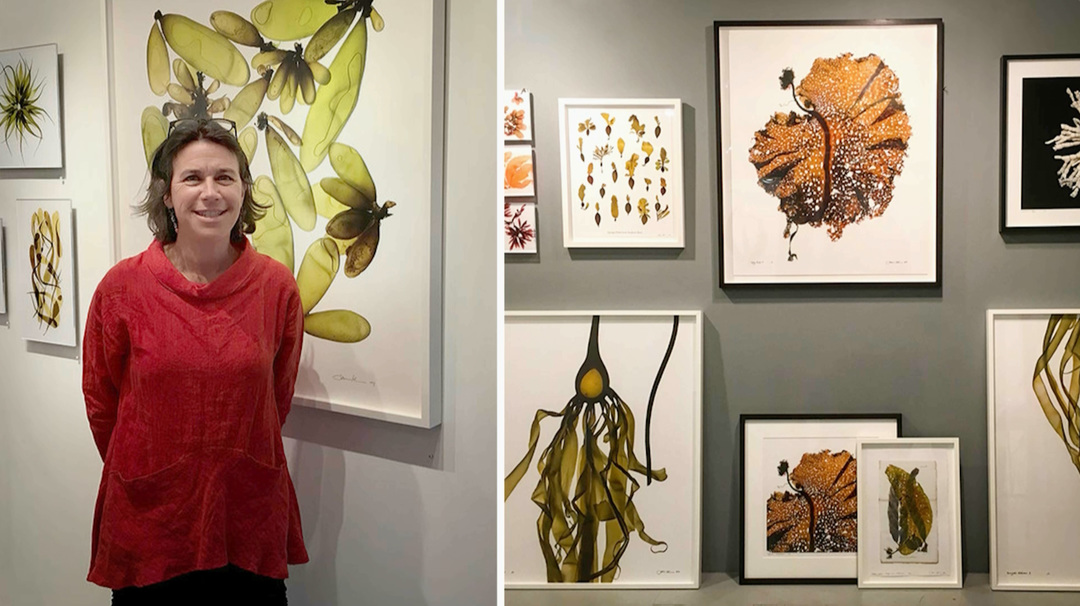 Connect the Bay: Kelp Artist