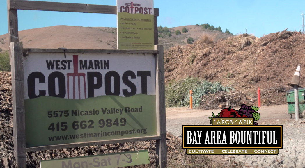 Compost and Carbon Sequestration Short Story 