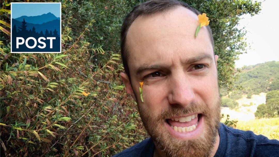 Minute with Matt: Sticky Monkey-Flower & Dusty-Footed Woodrat