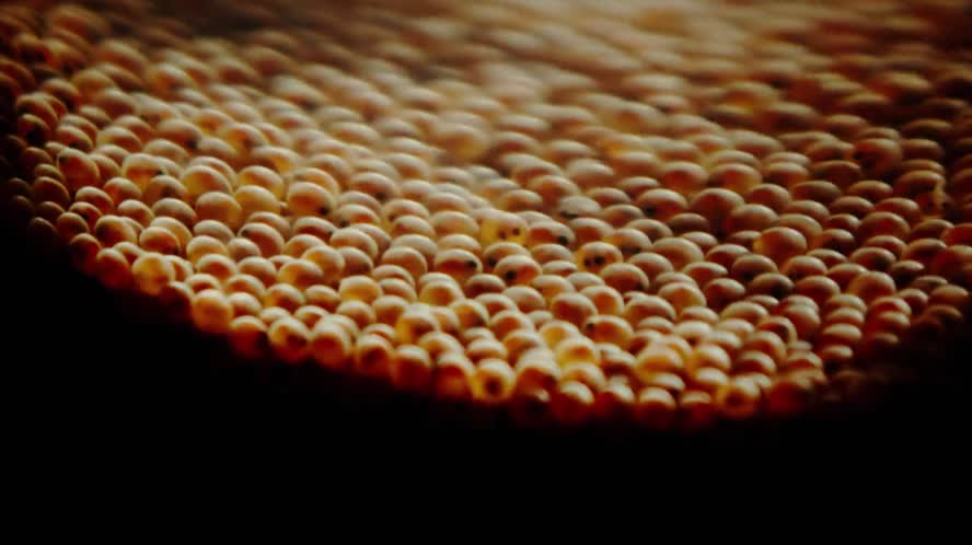 Bay Area Bountiful: Water and Wildfires