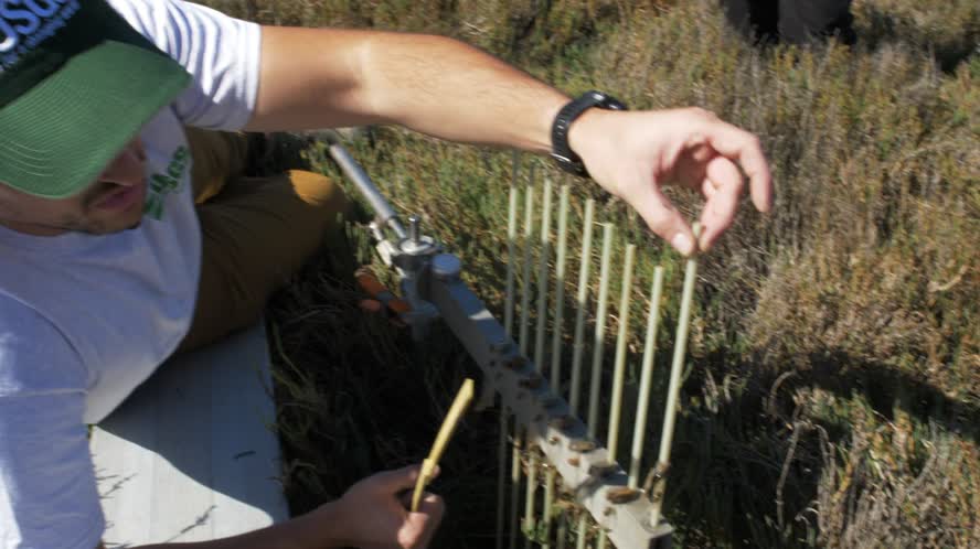Tidal Marsh Soil Elevation at San Pablo Bay