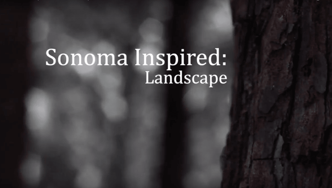 Sonoma Inspired: Landscape