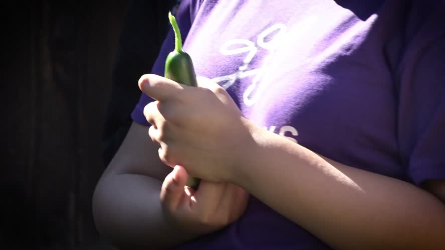 Youth United for Community Action