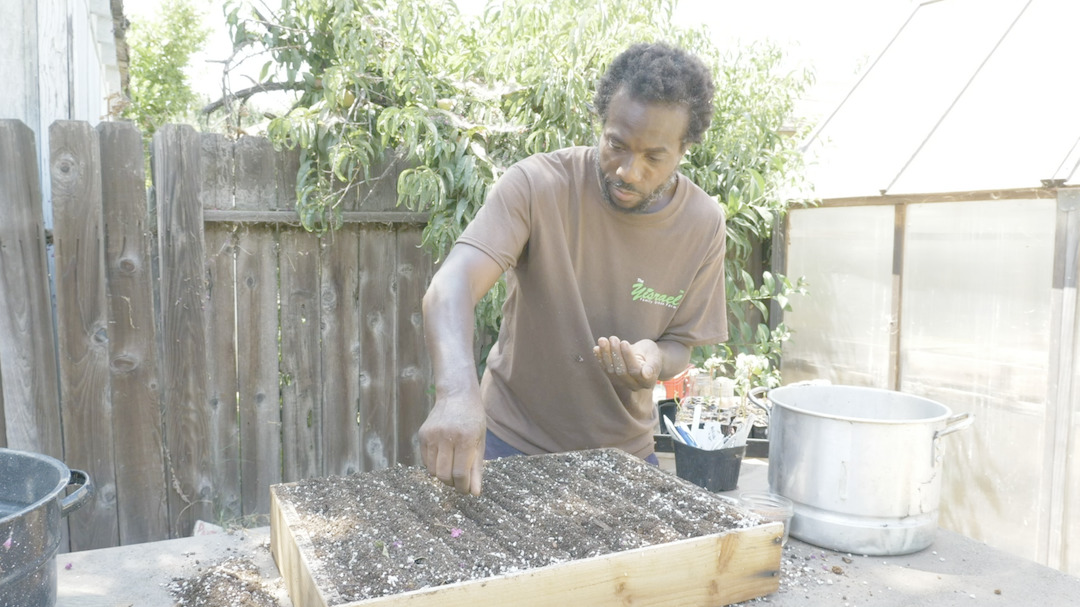 Biodiversity and Social Diversity: A Resilient Food System