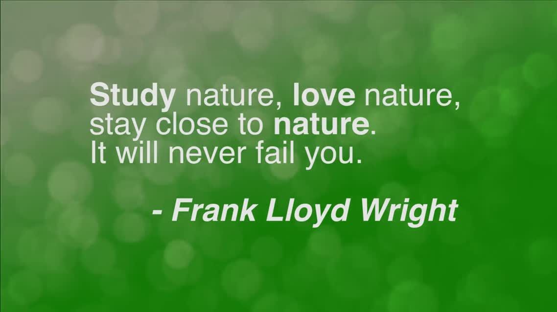 Study nature